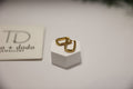 Crystal U-Hoop Earrings